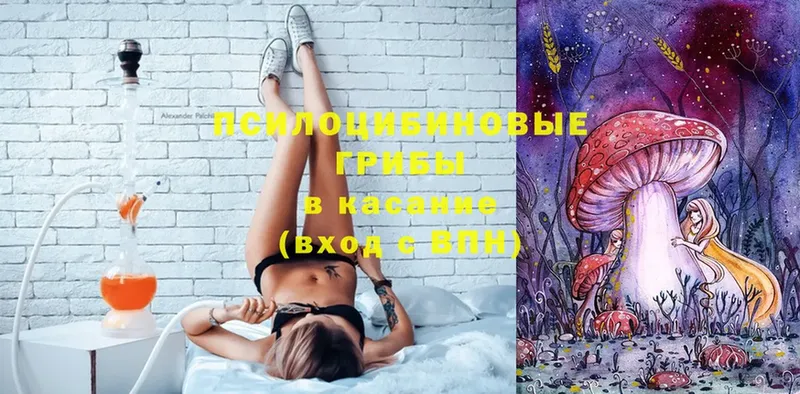 Галлюциногенные грибы Psilocybine cubensis  Энгельс 